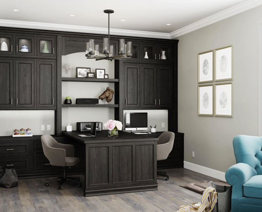 Learn How Custom Cabinets can Transform Your Home Office or Library